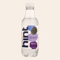 Hint Blackberry Water - Blackberry - Case of 12 - 16 Fl oz. - Front