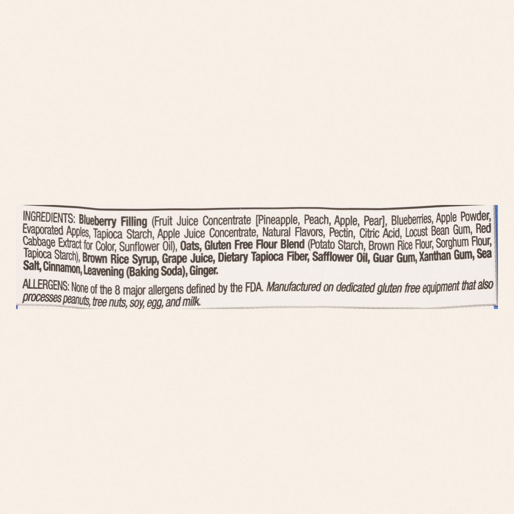 Betty Lou's Blueberry Fruit Bar  - Case of 12 - 2 OZ - Back