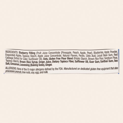 Betty Lou's Blueberry Fruit Bar  - Case of 12 - 2 OZ - Back